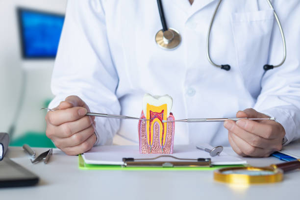 Best Emergency Treatment for Dental Infections or Abscesses in Defiance, OH